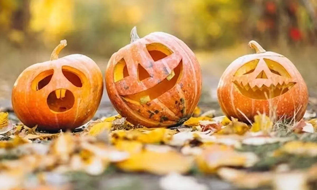 Halloween 2023: ये त्यौहार क्यों मनाया जाता है? जानें कद्दू का महत्व